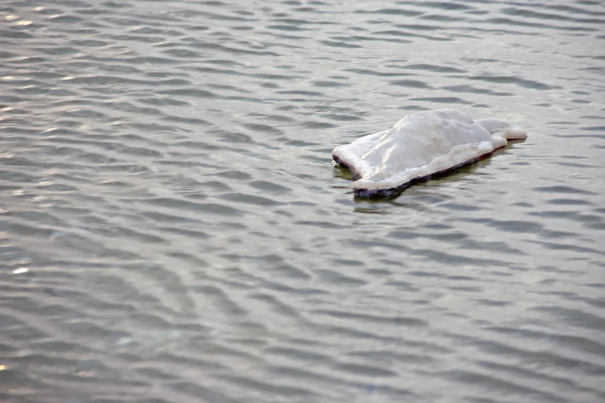 Rc_bOAT
