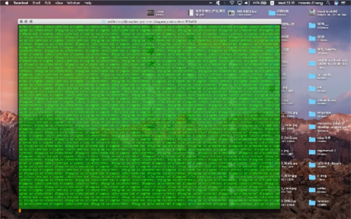 The terminal disagrees